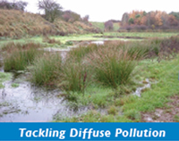 Tackling diffuse pollution pic