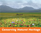 Conserving natural heritage
