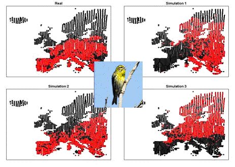 Example of climate envelope test: top left: real distribution of Serin (Serinus serinus) in red; other diagrams show null distribution patterns with the same spatial characteristics as the real distribution, demonstrating the validity of our approach.