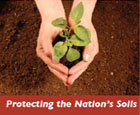 Protecting soils